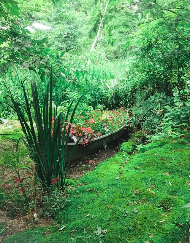 Gepflegter Garten mit Beeten und Rasen